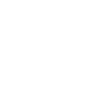 AvioNord-300x300