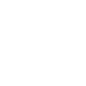 Emirates-300x300