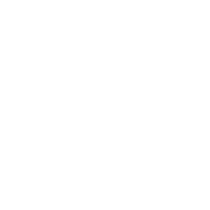 Meridiana-300x300