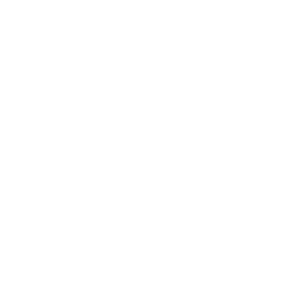 vueling-300x300